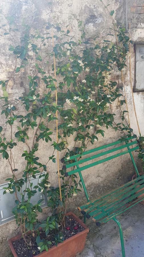 La Casetta Del Pellegrino Apartment Poggio Bustone Ngoại thất bức ảnh